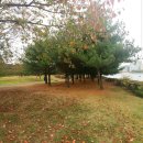 인제한의원 이미지