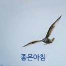 2021년3월10일 수요일출석부 죽음의 들판 킬링필드 이미지