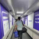 742 | 아시아나 A380 800 2층 OZ742 방콕→ 한국 이코노미 탑승후기