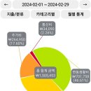 24년 2월 결산, 망아지 고삐 매기 이미지