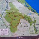 개화산 진입로 이미지