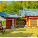 심청골민박