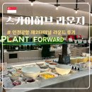 [싱가포르] 인천국제공항 제2터미널 스카이허브라운지 서편 운영시간, 메뉴, 할인, 무료입장 후기