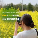 11545-01-24-18 | 2026 고창 청보리밭 축제 주차료 환급받고 입장료 트랙터 알찬 후기