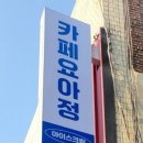 요거트아이스크림의정석원광대점