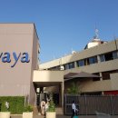 야야식당 이미지