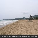 월포현펜션 이미지