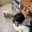 수국사 | 서울 템플스테이 ㅣ수국사 템플스테이 솔직 후기 (체험형)