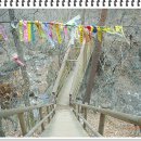 도전농장 이미지