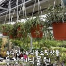 초록영농 | 🌿초록 힐링 가득한 공간, 창원 식물 쇼핑 핫플! 창원...초보도 OK “동창원식물원영농조합 방문 후기 ”