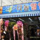 다농할인마트 - 수원시 권선구 서둔동 | 다농할인마트