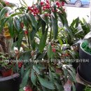 수원시 팔달구 팔달문로81번길 이미지