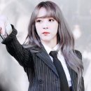 별콩 이미지