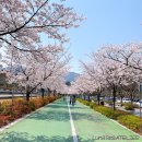 금정체육공원_실외테니스장 이미지