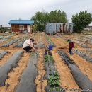 평화종묘사 이미지