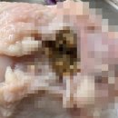 하림생닭 - 남구 동명로152번길 74 | 하림생닭
