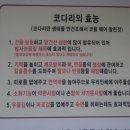 소문난이모코다리 이미지