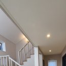 제주 플로라 이미지