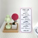 미엔느뷰티