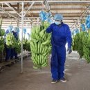 상환농장 이미지