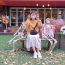 보정동 카페거리 이미지