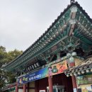 원안양 | 전주아기랑 즐겁고 알차게 놀다온 전주동물원 전주드림랜드 후기
