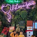 유림-1143 이미지