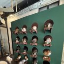 청주고양이입양지원센터 애니멀공화국 이미지