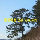 동로치안센터 이미지