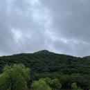 숲내음공원 이미지