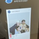 몽땅멍냥 이미지