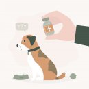 내성동물병원 이미지