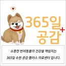 다오동물병원 이미지