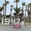 위미동백나무군락 | 제주 윈드 1947 테마파크, 위미 동백나무 군락 후기