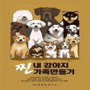 카와쉼터 이미지