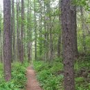 [정운산악회 제161차 정기산행] 강원 설악산(雪嶽山,1708M) - 대간령(641M) - 20221001(토요일) 산행계획 이미지