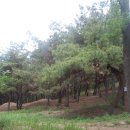 상리공원 이미지