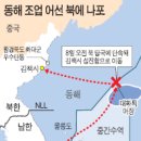 동해-단속-41 이미지