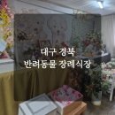 경북반려동물장례식장 | 대구 경북 반려동물 장례식장 강아지 장례식 절차