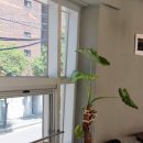 원효로 L 이미지