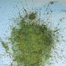 강진미술관 이미지