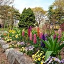 봄꽃체험코스 이미지