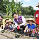 중랑천 제2체육공원 이미지