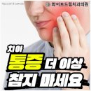 모던치과기공소 | 150평 대규모의 믿을수 있는 인천구월동치과