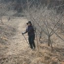 인선농장 이미지