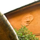 조선흑염소 이미지