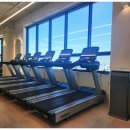 보떼 짐 이미지