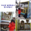 짱가농장 | 일산 눈썰매장 추천 - 다양한 체험놀이가 가능한 배다골 테마파크