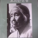 뿌리깊은 나무 이미지