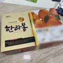 아빠농장 | 제주 한라봉 선물 아빠는농부다 승환이네 농장 신선하다!